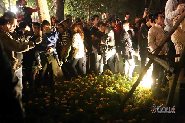 Bất chấp người cầm gậy xua đuổi, hoa hồ Gươm vẫn tan t&aacute;c sau giao thừa - Ảnh 2.