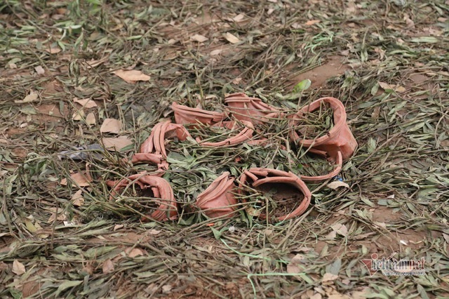 Bất chấp người cầm gậy xua đuổi, hoa hồ Gươm vẫn tan t&aacute;c sau giao thừa - Ảnh 16.