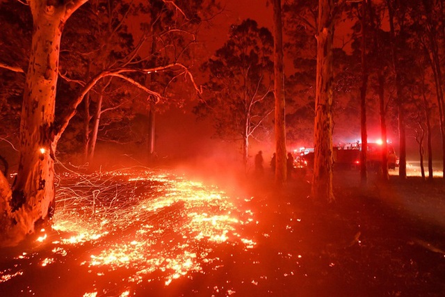 Thế giới bước sang năm mới 2020 trong pháo hoa và cháy rừng - Ảnh 38.