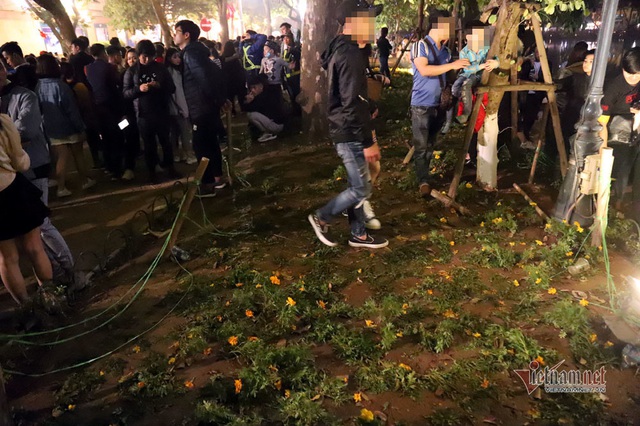 Bất chấp người cầm gậy xua đuổi, hoa hồ Gươm vẫn tan t&aacute;c sau giao thừa - Ảnh 10.