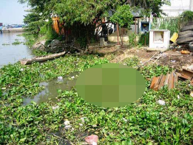 Phát hiện xác chết người phụ nữ trên sông Sài Gòn - Ảnh 1.