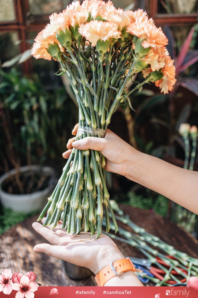 Vừa dễ cắm lại vừa đẹp, hoa cẩm chướng chính là loại hoa không thể thiếu trong ngày Tết - Ảnh 16.