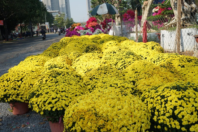 Những loại hoa Tết người Sài Gòn thường mua để mang lại tài lộc, may mắn cả năm - Ảnh 12.