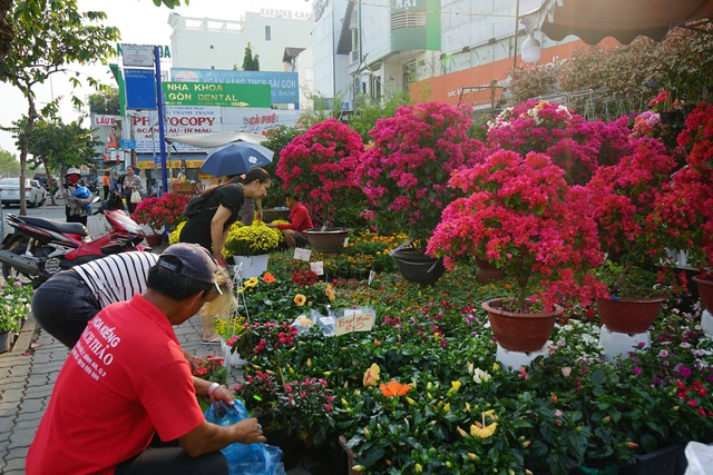 Những loại hoa Tết người Sài Gòn thường mua để mang lại tài lộc, may mắn cả năm - Ảnh 5.