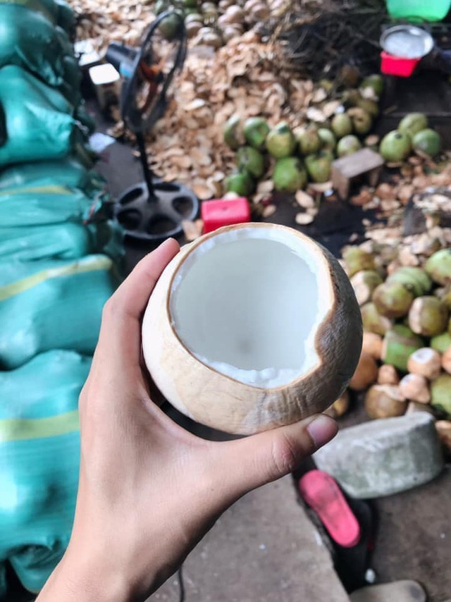 Cận Tết, nhiều bà nội trợ Việt mua cùi dừa non 70 ngàn đồng/kg làm mứt, tiểu thương ngày bán cả tạ  - Ảnh 2.