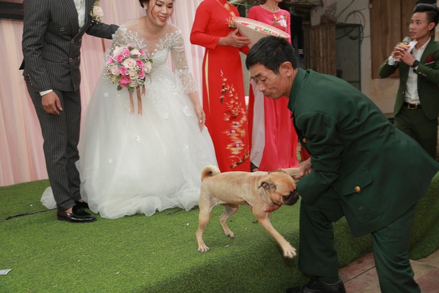 Bật cười vì biểu cảm thảng thốt của chú chó cưng khi bị bắt chia ly với cô chủ trên sân khấu đám cưới - Ảnh 2.