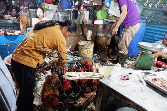 Dạo một vòng chợ Hà Nội: Giá gà cúng đa dạng, loại đắt và đẹp nhất rơi vào khoảng 300 nghìn đồng/kg - Ảnh 14.