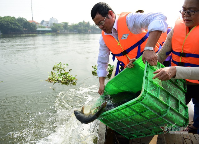 Né quân chích điện, thuê ghe ra giữa sông thả tạ cá ngày ông Công ông Táo - Ảnh 7.