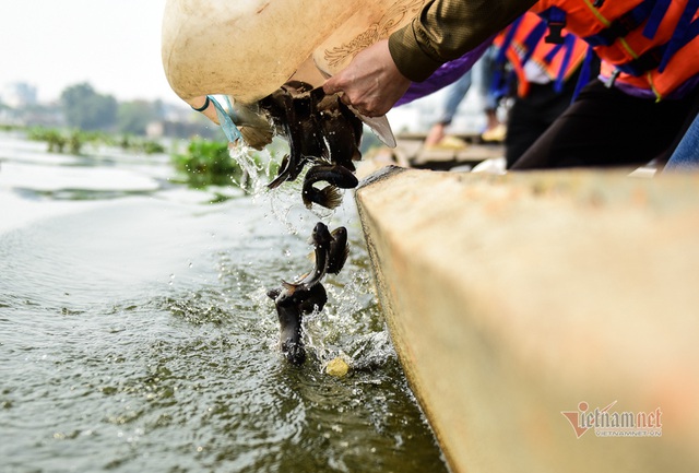 Né quân chích điện, thuê ghe ra giữa sông thả tạ cá ngày ông Công ông Táo - Ảnh 10.