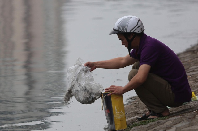 Hà Nội: Cá chép đỏ chết la liệt ở hồ sau khi người dân tiễn Táo quân về trời - Ảnh 9.