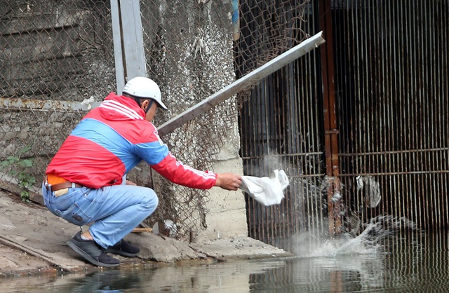 Hà Nội: Cá chép đỏ chết la liệt ở hồ sau khi người dân tiễn Táo quân về trời - Ảnh 10.