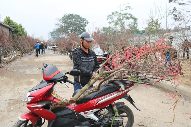 Người Hải Phòng chi chục triệu, trăm triệu chơi đào phai - Ảnh 7.