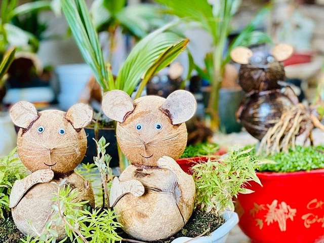 Dừa bonsai hình chuột đắt khách - Ảnh 1.
