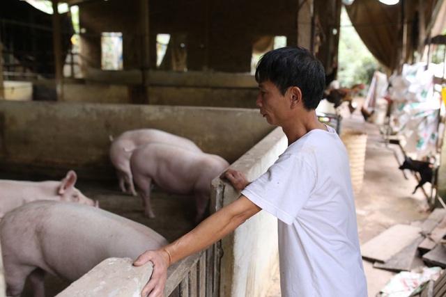 Thịt lợn giảm giá, người tiêu dùng vẫn méo mặt vì nhiều mặt hàng tăng giá đầu năm mới - Ảnh 1.