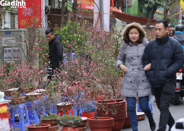 Ghé thăm chợ hoa cổ Hàng Lược mỗi năm chỉ họp duy nhất một lần - Ảnh 3.