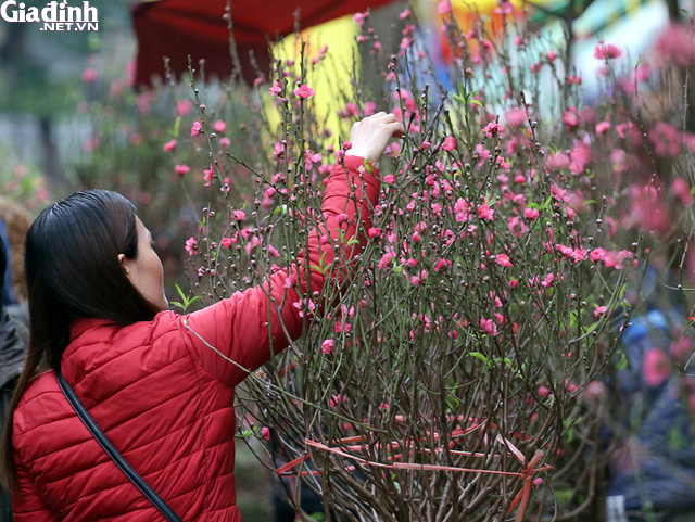 Ghé thăm chợ hoa cổ Hàng Lược mỗi năm chỉ họp duy nhất một lần - Ảnh 7.