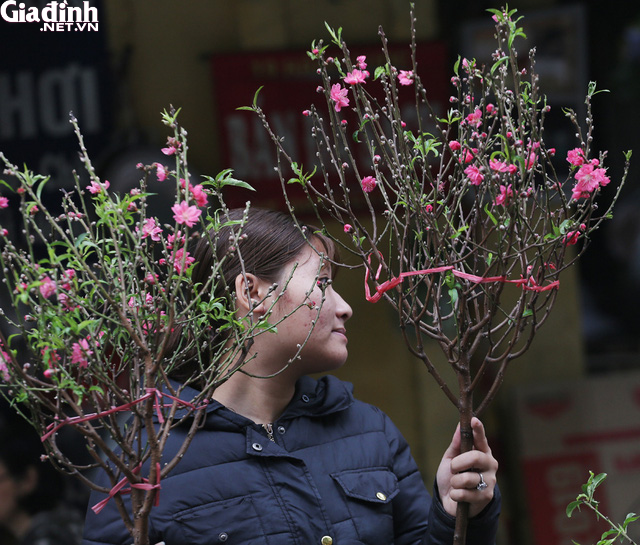 Ghé thăm chợ hoa cổ Hàng Lược mỗi năm chỉ họp duy nhất một lần - Ảnh 14.