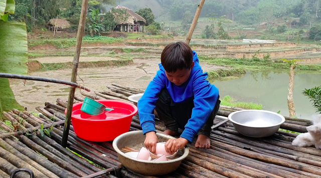 Cậu bé 10 tuổi sống cô độc trong rừng ở Tuyên Quang đón Tết thế nào? - Ảnh 2.