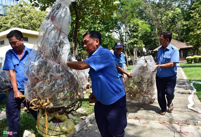 Tiểu thương đập bỏ, quyết không cho hoa Tết ế - Ảnh 7.