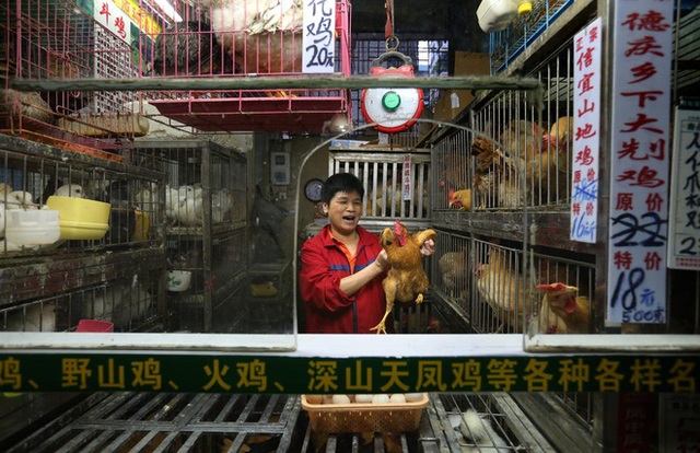 Bên trong khu chợ bùng phát virus corona tại Vũ Hán - Ảnh 11.