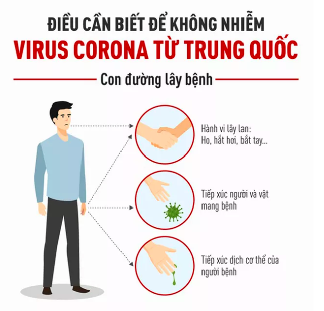 Bé gái 10 tuổi ở Khánh Hoà tử vong do cúm không thuộc chủng corona mới ở Trung Quốc - Ảnh 3.