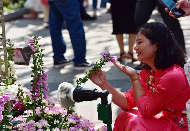 Chưa hết Tết, hàng trăm chậu hoa bị đạp nát ở đường hoa Nguyễn Huệ - Ảnh 9.