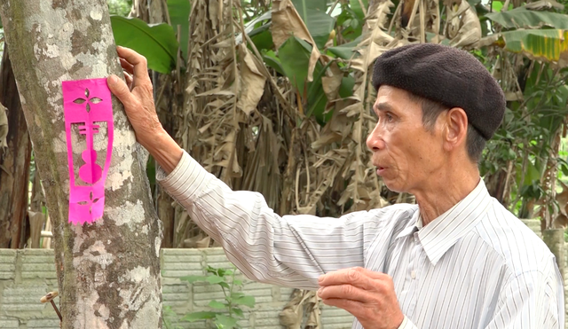 VIDEO: Độc đáo “điệu múa Tết” của dân tộc Cao Lan ở Tuyên Quang - Ảnh 6.