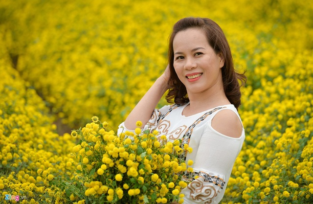 Hoa c&uacute;c chi giảm gi&aacute; mạnh v&igrave; tăng diện t&iacute;ch kh&ocirc;ng kiểm so&aacute;t - Ảnh 6.