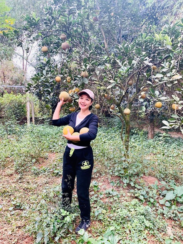 Thú vui làm vườn, trồng bưởi khi rảnh rỗi của nghệ sĩ Chiều Xuân - Ảnh 2.