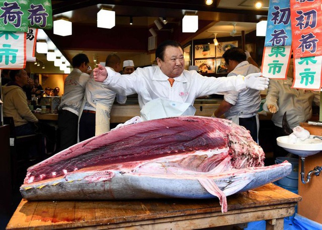 Vua cá ngừ Nhật chi 1,8 triệu USD mua con cá ngừ vây xanh siêu hiếm - Ảnh 1.