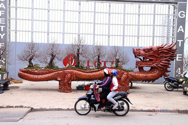 Rồng cuộn ngũ c&acirc;y tiền tỷ giữa phố H&agrave; Nội, kh&aacute;ch qua đường xu&yacute;t xoa - Ảnh 2.