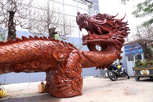 Rồng cuộn ngũ c&acirc;y tiền tỷ giữa phố H&agrave; Nội, kh&aacute;ch qua đường xu&yacute;t xoa - Ảnh 9.