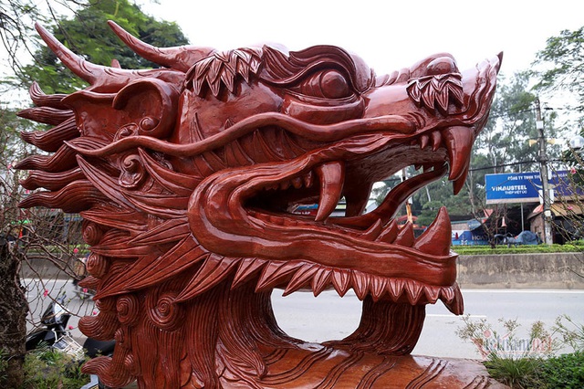 Rồng cuộn ngũ c&acirc;y tiền tỷ giữa phố H&agrave; Nội, kh&aacute;ch qua đường xu&yacute;t xoa - Ảnh 10.