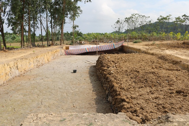 Tạm lấp bãi cọc Cao Quỳ, xã Liên Khê (Thủy Nguyên, Hải Phòng) để bảo tồn - Ảnh 3.