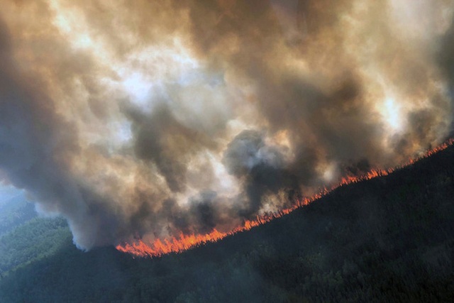 Amazon cháy kỷ lục, Úc cũng cháy đại thảm họa: Cơn khủng hoảng khí hậu giờ đây đang hiện ra ở mọi ngóc ngách trên Trái đất - Ảnh 3.