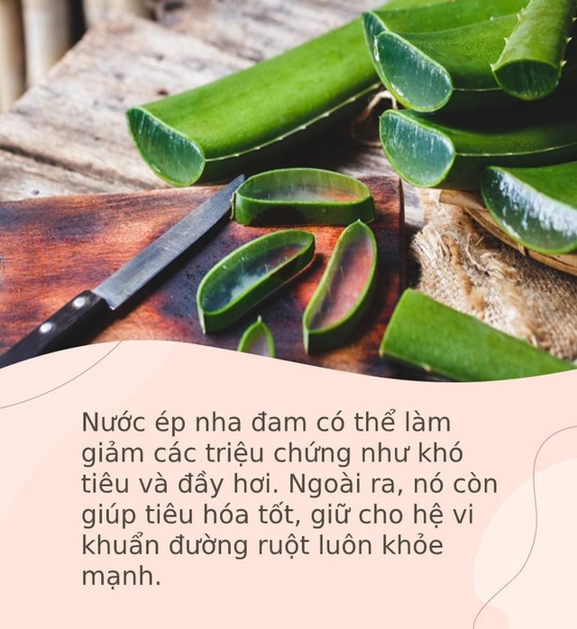 Cứ 10 người thì đến 9 người chỉ biết nha đam có tác dụng làm đẹp, nhưng nó còn nhiều lợi ích khác cho sức khỏe mà bạn không biết - Ảnh 1.