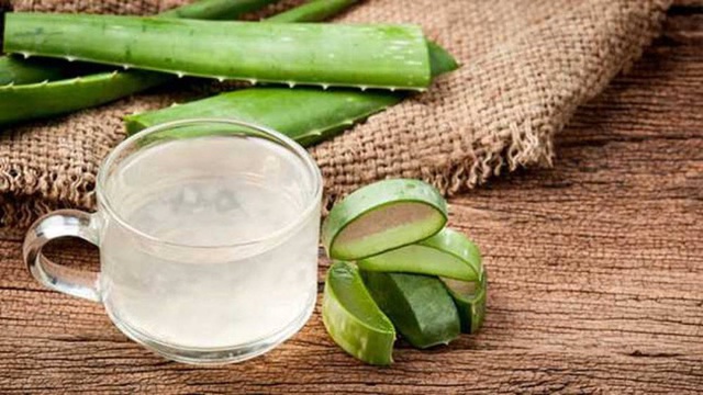 Cứ 10 người thì đến 9 người chỉ biết nha đam có tác dụng làm đẹp, nhưng nó còn nhiều lợi ích khác cho sức khỏe mà bạn không biết - Ảnh 2. Cứ 10 người thì đến 9 người chỉ biết nha đam có tác dụng làm đẹp, nhưng nó còn nhiều lợi ích khác cho sức khỏe mà bạn không biết - Ảnh 2.