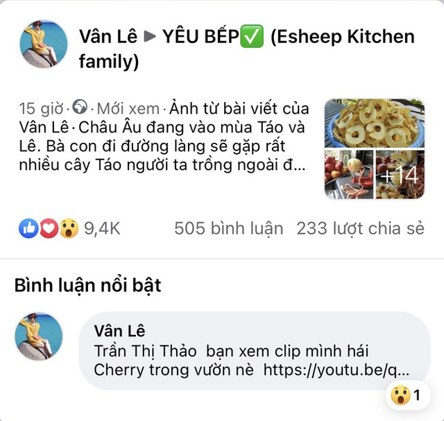 Cách làm táo sấy cực dễ giúp chị em ăn vặt cả ngày không lo tăng cân, bảo sao hot xình xịch thế này! - Ảnh 2.