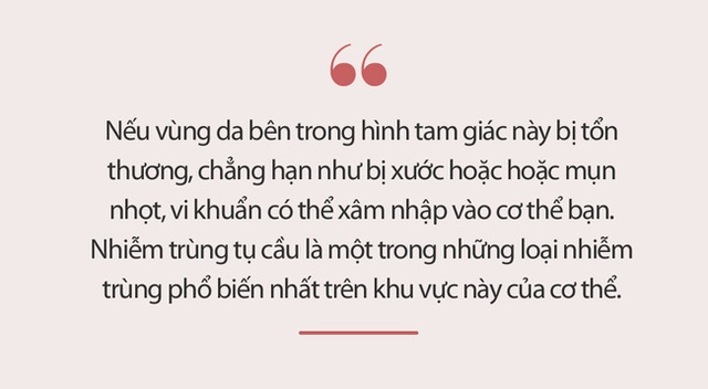 Có một vùng gọi là tam giác tử thần trên mặt, nếu bị mụn ở đó thì tốt nhất đừng động vào nếu không muốn bị liệt mặt, méo miệng - Ảnh 4.