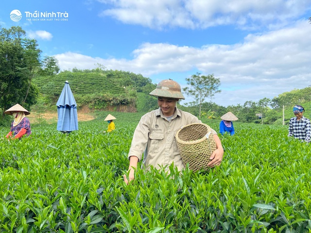 Chàng kỹ sư công nghệ khai sinh một thương hiệu trà sạch sản xuất thủ công - Ảnh 3.