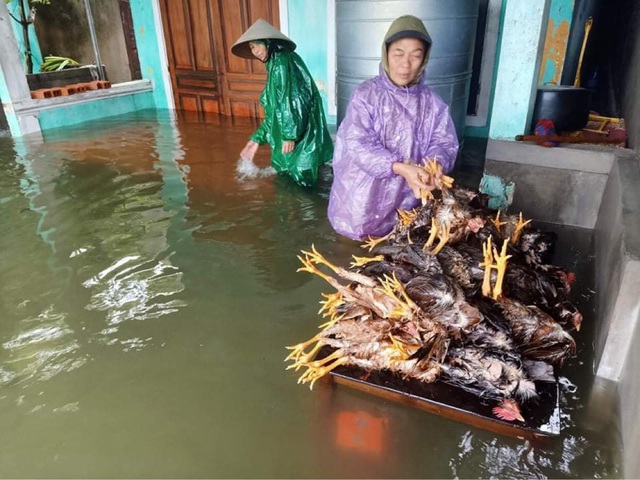 Hai ngày mưa lớn, TP Hà Tĩnh thất thủ - Ảnh 14.