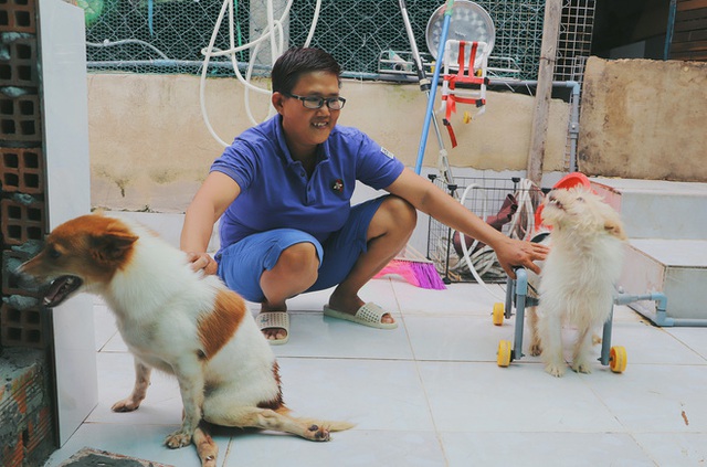 Người phụ nữ nuôi chó mèo bị bại liệt suốt 6 năm, bỏ cả công việc để chăm sóc đàn con của mình - Ảnh 2.