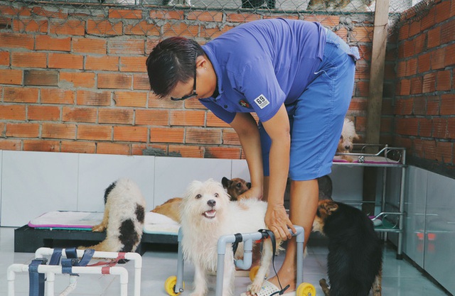 Người phụ nữ nuôi chó mèo bị bại liệt suốt 6 năm, bỏ cả công việc để chăm sóc đàn con của mình - Ảnh 9.