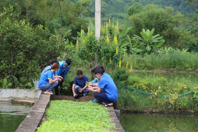 Phát động Tuần lễ dinh dưỡng và phát triển năm 2020 tại Tuyên Quang - Ảnh 11.