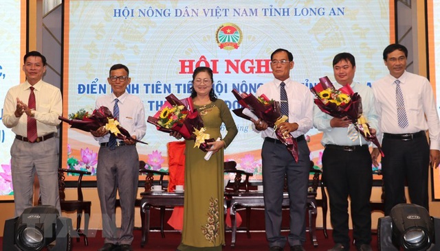 Người phụ nữ đầu ti&ecirc;n trồng, b&aacute;n chanh kh&ocirc;ng hạt tại Việt Nam - Ảnh 2.