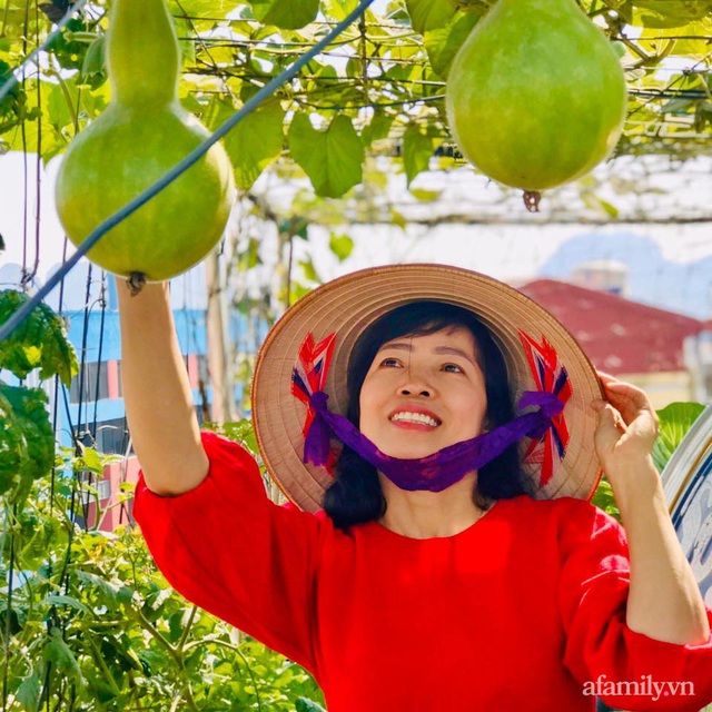 Cách trồng cải xoăn Kale tốt tươi ngập tràn sân thượng của nữ bác sĩ ở Quảng Ninh - Ảnh 5.