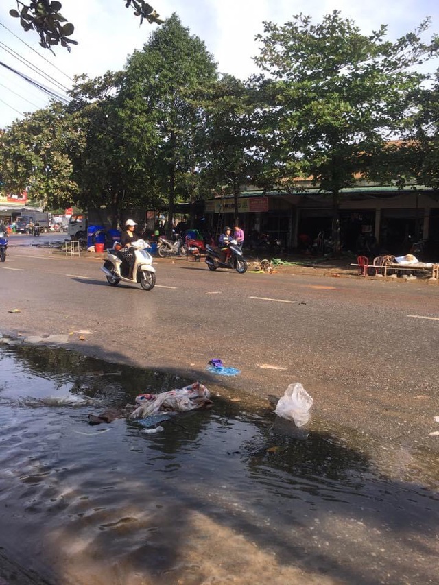 Thành phố Hà Tĩnh ngập chìm trong rác sau khi nước rút - Ảnh 8.