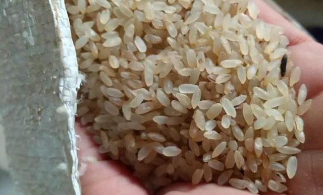 Đặc sản Yên Bái: Loại gạo ngậm sương, không dám phơi nắng - Ảnh 1.