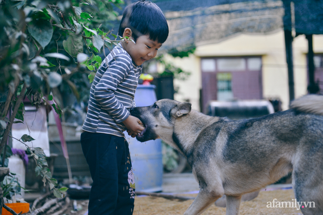 Ký ức người chết hụt trong trận “đại hồng thủy” 70 năm mới thấy một lần: Trải nghiệm cận tử của em bé 4 tuổi, 3 tấn thóc mọc mầm và tinh thần “còn da lông mọc, còn chồi lên cây” - Ảnh 6.