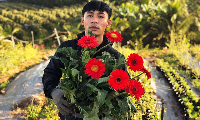 Chàng trai 24 tuổi một mình gầy dựng trại hoa hồng - Ảnh 4.